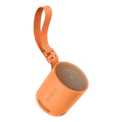 Altavoz Inalámbrico Portátil Bluetooth Sony SRS-XB100 – IP67, Hasta 16 h
